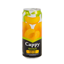 cappy-kayisi-kutu